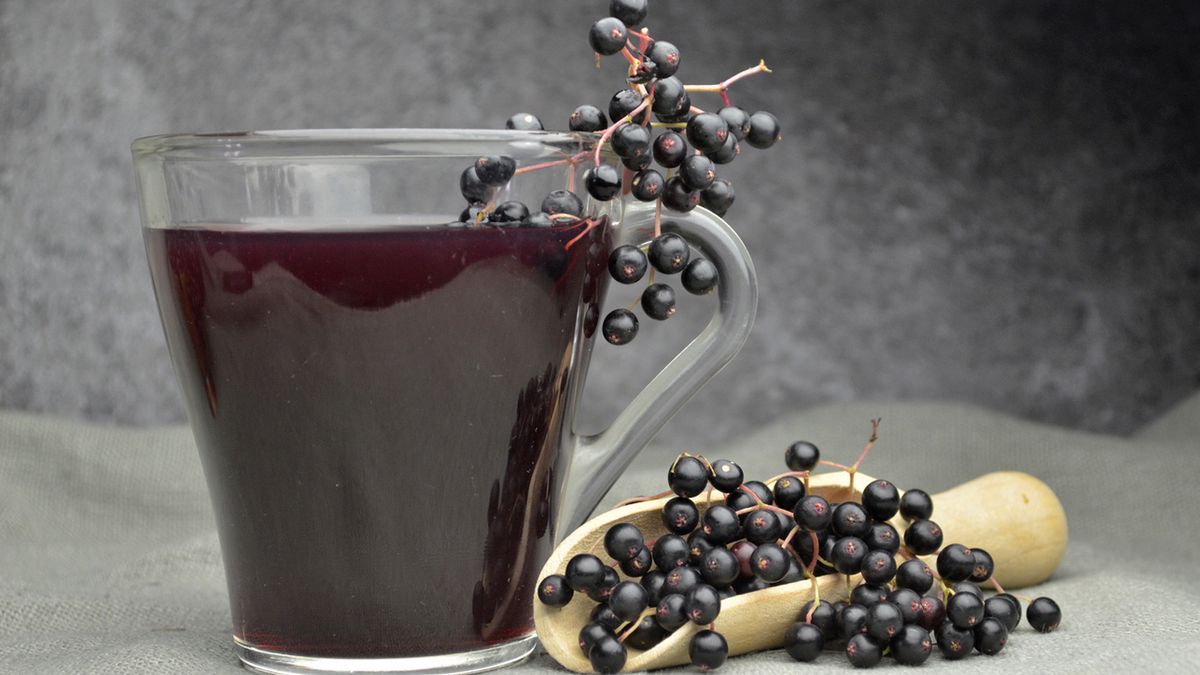 Czarny bez jest wykorzystywany w ziołolecznictwie i medycynie naturalnej.