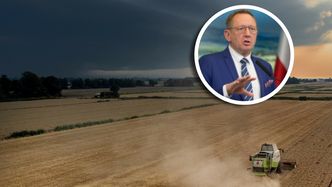 Polska tonie w zbożu. Żniwa pogłębią problem, który miał zniknąć do wakacji
