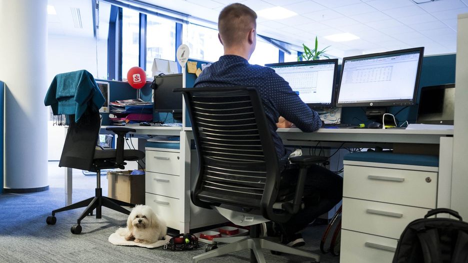 Średnia pensja w branżach we Wrocławiu