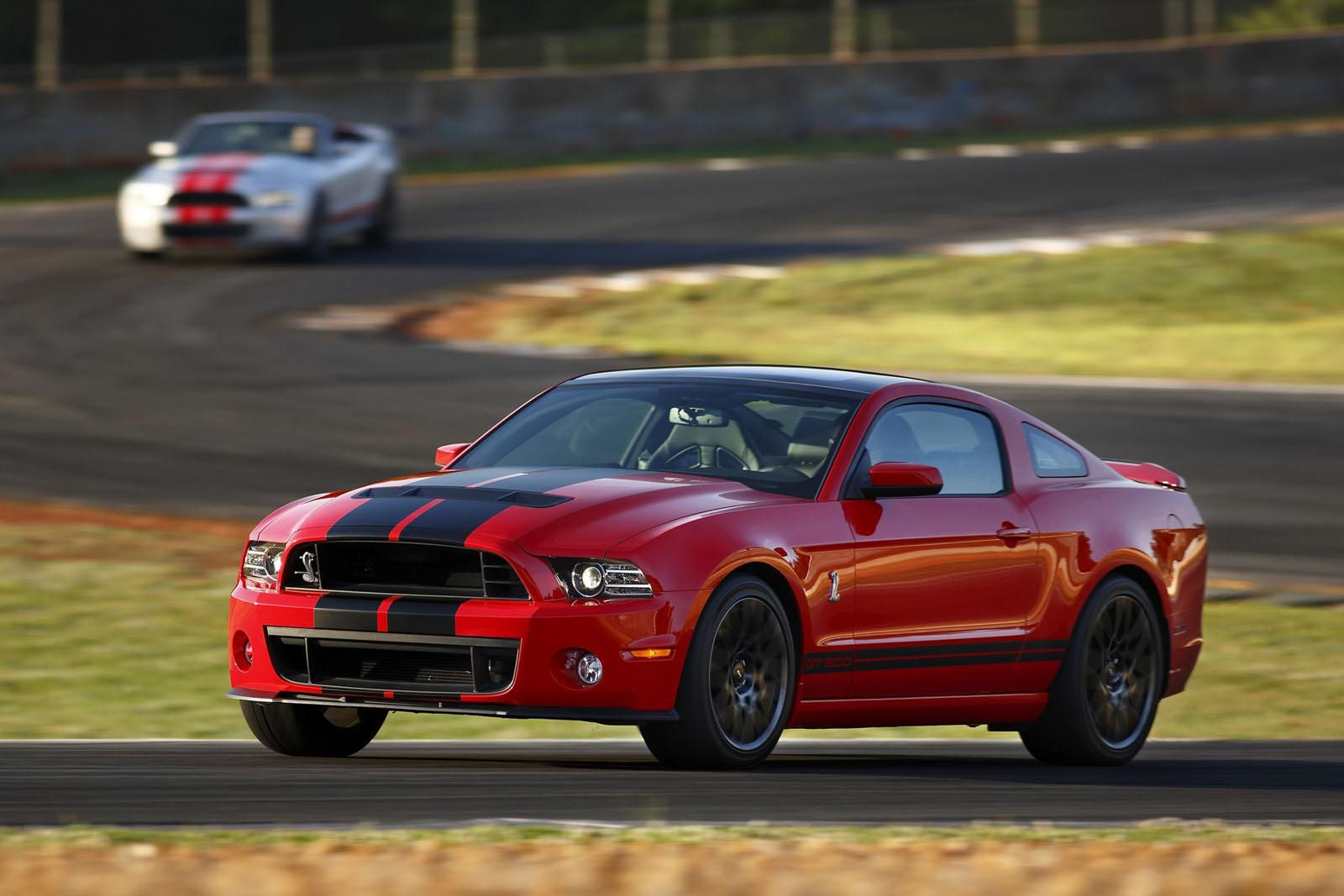 Shelby GT500 2013