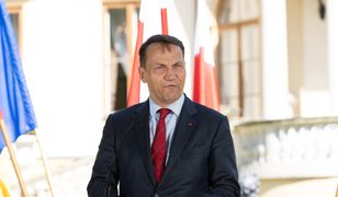 Sikorski dementuje. "Nie chcę posady za granicą"