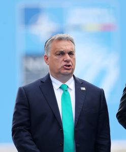 "Brawo". Człowiek Orbana chwali Trumpa i Putina