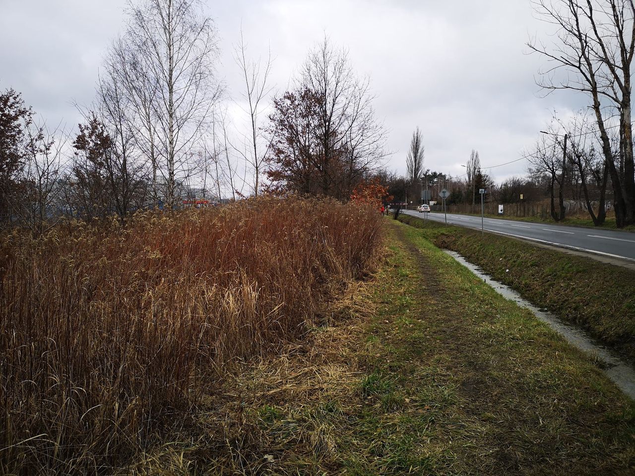 Wrocław. Niech stanie się jasność. Powstaną chodniki i latarnie przy zakładach 3M