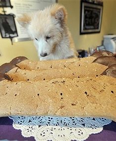 Zadbaj o swojego psa, idź z nim do kawiarni