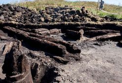 Zarabianie na grzebaniu