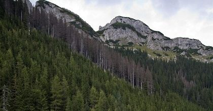Turyści w Tatrach mogą wykupić dobrowolne ubezpieczenia