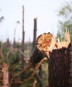 Rząd pojawił się na miejscu kataklizmu po trzech dniach. Gdzie była opozycja?