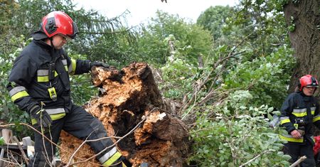 Fatalne skutki wichur nad Polską. Ostrzeżenia dla kilku województw