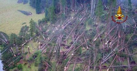 Tragiczny bilans żywiołu. Turystyczny region Włoch nawiedziła wichura
