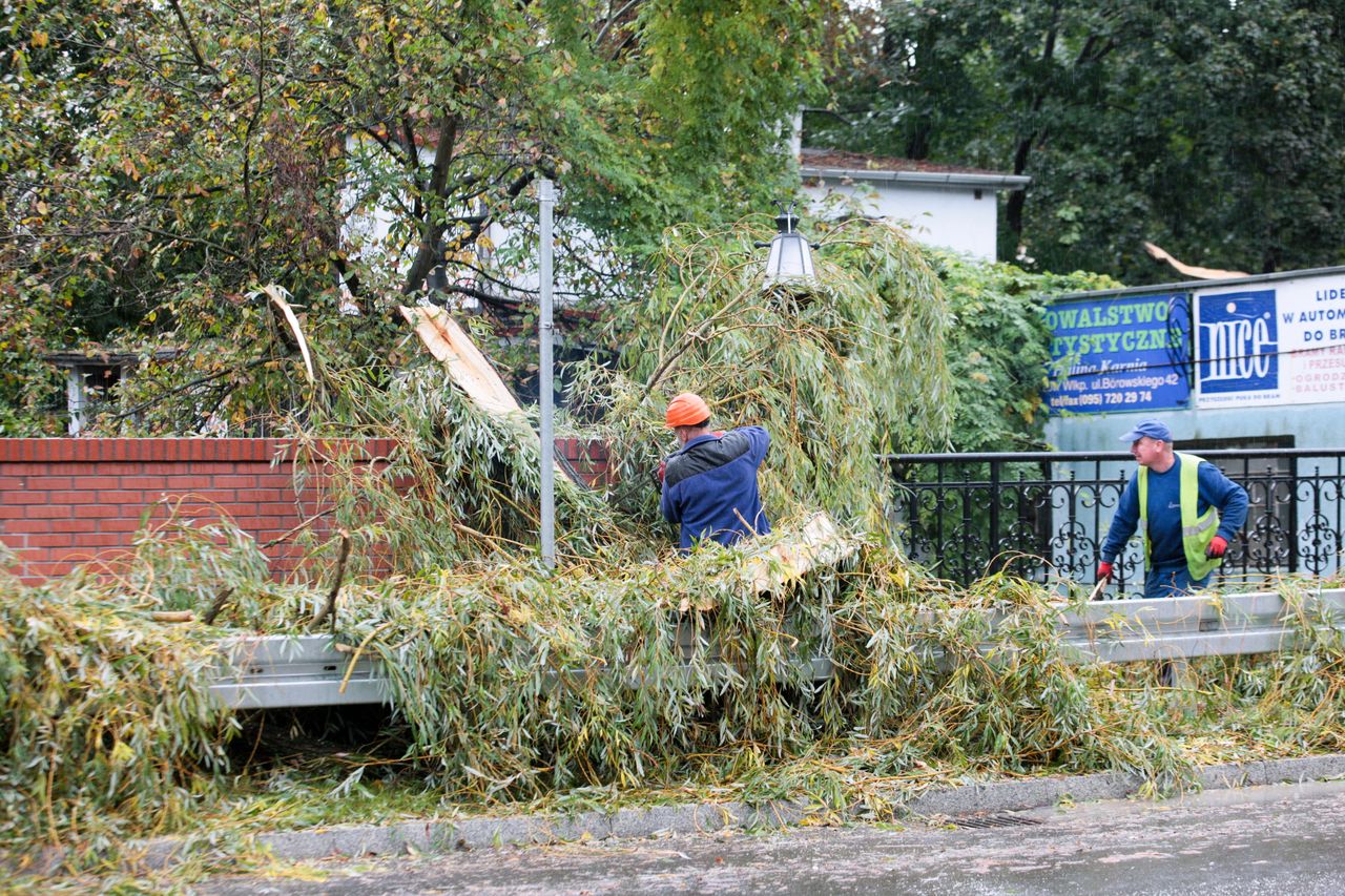 Orkan Ksawery przeszedł nad Polską. W tych miejscach było najgorzej