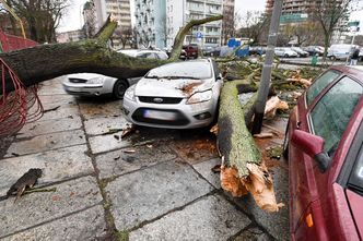 Rozpoczął się sezon na wichury. Uchroń swoje auto przed ich skutkami
