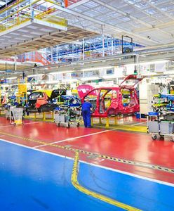 Fiat analizuje sytuację po utracie Pandy