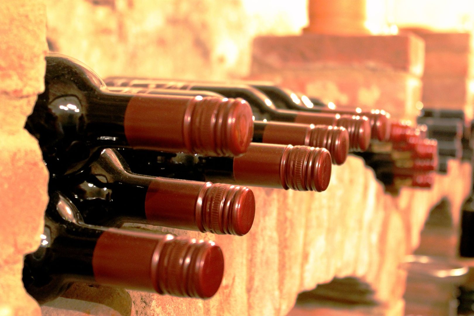 150-letnie wino znalezione pod podłogą zamku. Może być warte majątek