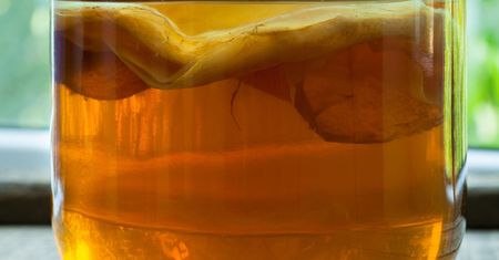 Kombucha - wyjątkowa, fermentowana herbata z cukrem