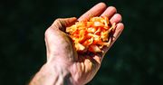 Kimchi z kapusty pekińskiej