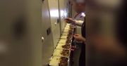 Obrzydliwe. Stewardesa przyłapana na wyjadaniu posiłków pasażerów