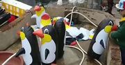 Prawdopodobnie najgorsze zoo na świecie. Gości przywitały… dmuchane pingwiny