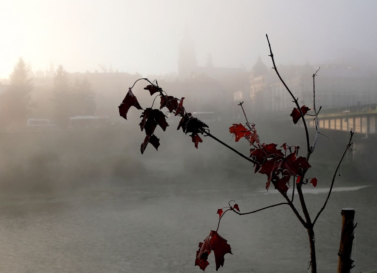 Prognoza pogody na dziś - 15 listopada. Kolejny dzień z niskimi temperaturami. Idzie zima