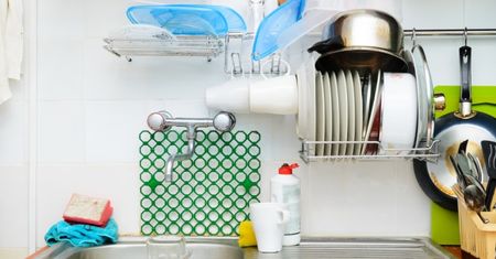 Masz je w kuchni? Zrób porządek i pozbądź się ich natychmiast