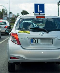 Ministerstwo zadba o młodych kierowców. Blady strach padł na szkoły jazdy