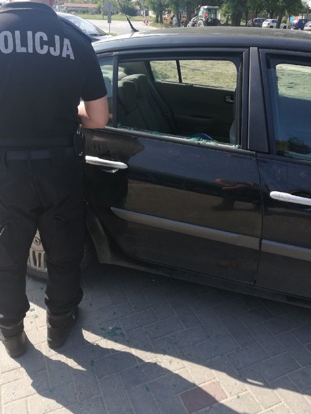 Radomsko. Zostawiła psa w nagrzanym aucie i poszła na zakupy. Interweniowała policja