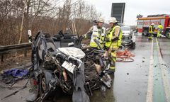 Tragedia w Niemczech. Nie żyje trzech Polaków. Ich auto zderzyło się czołowo z ciężarówką przewożącą świnie