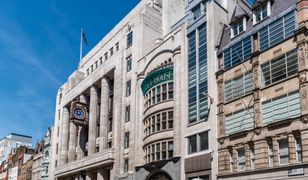 Goldman Sachs sfinansuje swoim pracownikom zapłodnienie metodą in vitro