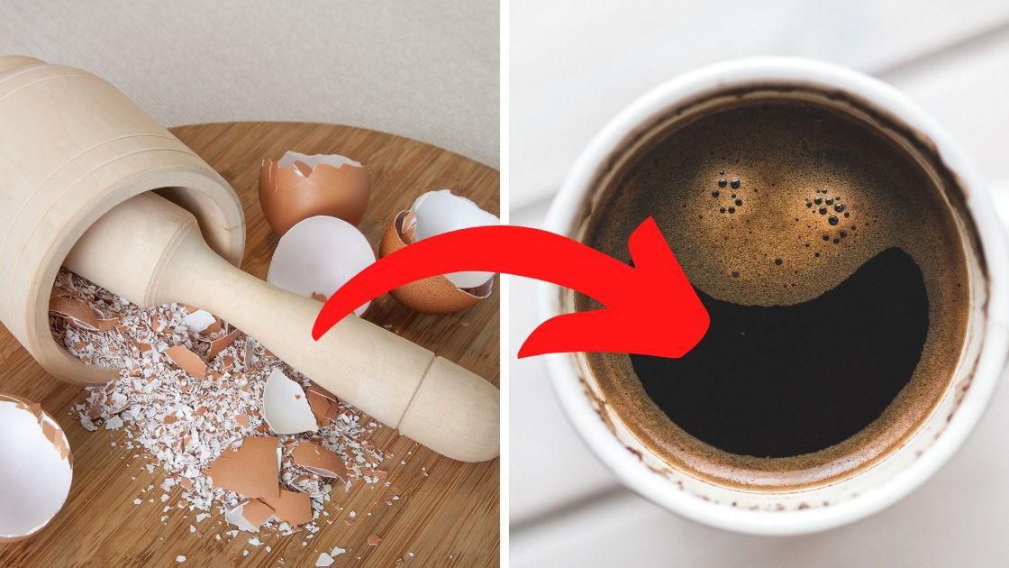 Skorupki jajek- Pyszności