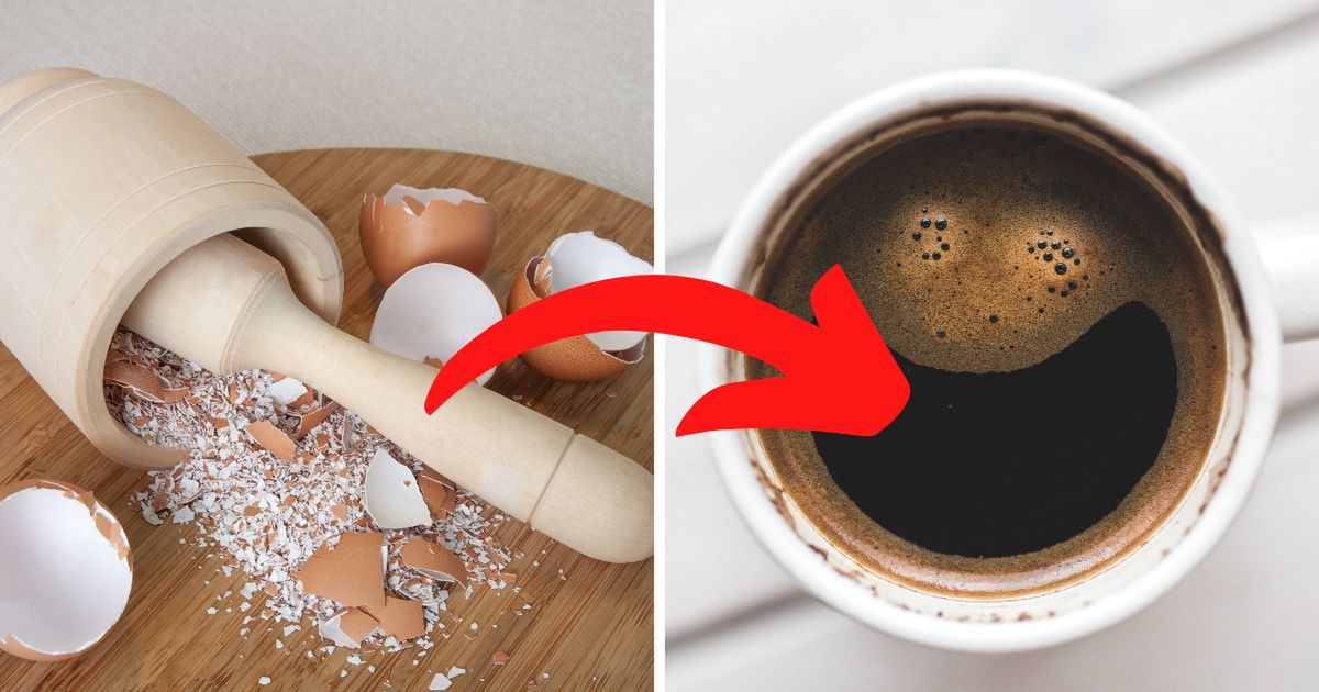 Ludzie mielą skorupki jajek i dodają do kawy. Powody sprawią, że zastanowisz się 2 razy przed ich wyrzuceniem