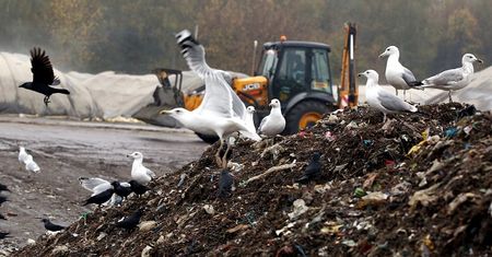 Polska śmietnikiem Europy. Sprowadzamy coraz więcej odpadów