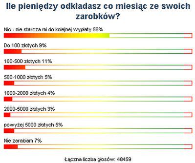 Ile oszczędzają Internauci?