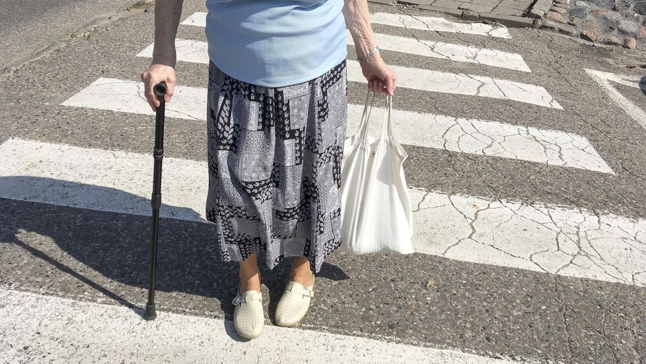 Propozycje dla seniorów