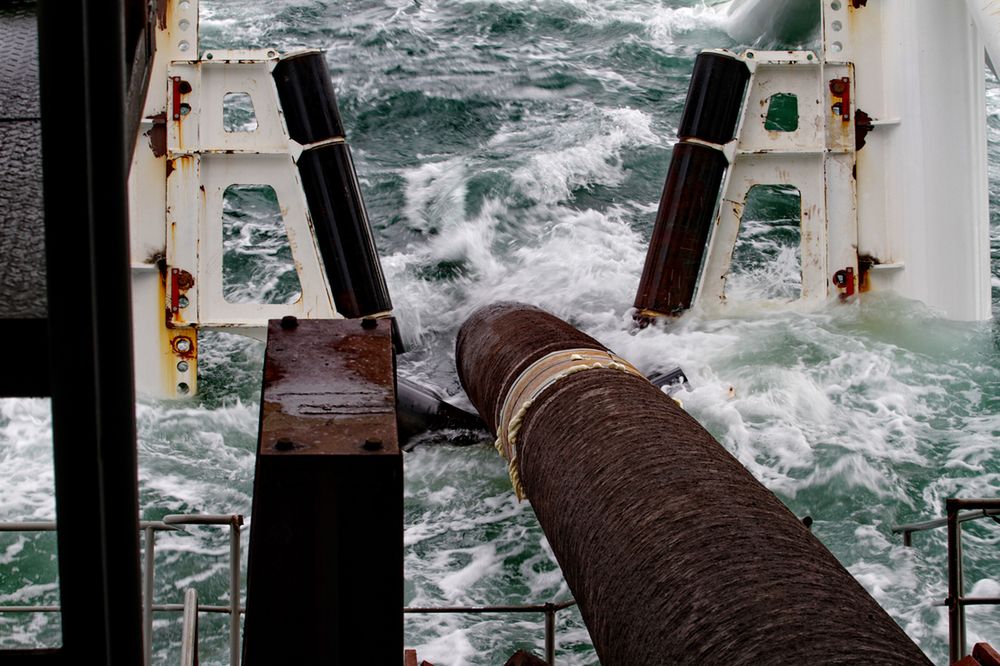 Mniej ryb w Bałtyku przez Nord Stream?