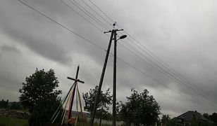 Bocian biały przebity strzałą. W Wilczkowicach zauważono ptaka z "makabryczną pamiątką"