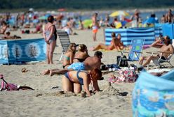 Rottweiler pogryzł dziecko na plaży. Właścicielki psa były agresywne