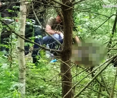 Dramat w Zawierciu. Ciało kobiety w rzece, 80-latek skrajnie wyczerpany odnaleziony w lesie