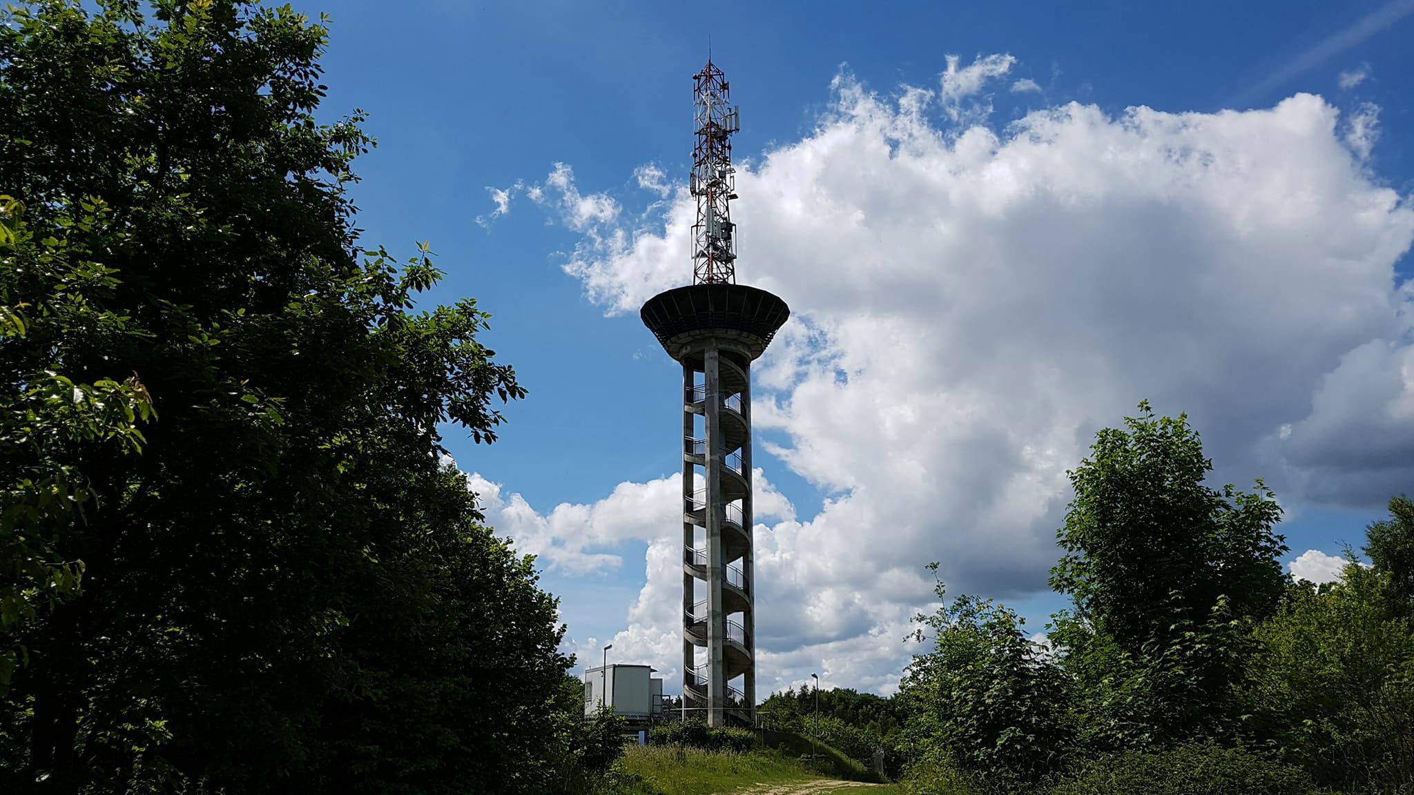 Obraz