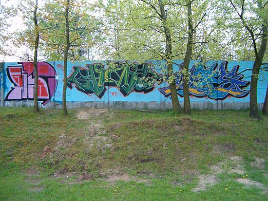 Obraz