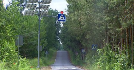 Lubelskie. Przejście dla pieszych w środku lasu
