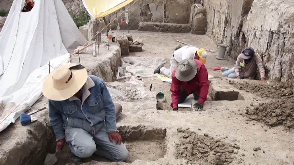 Archeolodzy odkryli szczątki mamutów