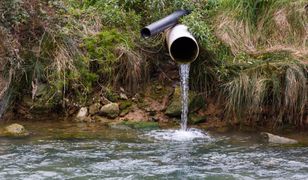 Nowy Targ. Pożar w oczyszczalni ścieków. Do Dunajca wpływają szkodliwe substancje