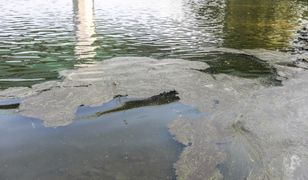 Awaria w Warszawie. GIOŚ: zagrożenie może występować około miesiąca