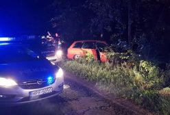 Pijany uciekał przed policją. Staranował radiowóz i zaatakował funkcjonariusza