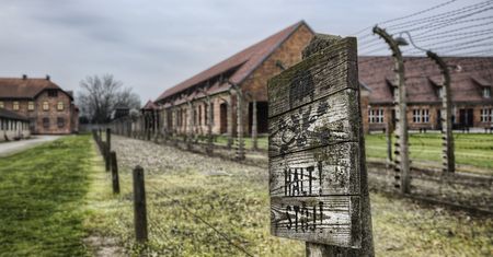 Polska przegrała internetową "bitwę" o obozy zagłady. Miażdżące statystyki
