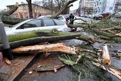 Powalone drzewa, zniszczone auta. Cyklon nad Polską