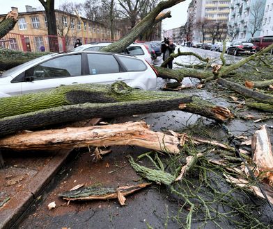 Powalone drzewa, zniszczone auta. Cyklon nad Polską