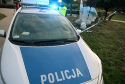 Lidzbark Warmiński. Ukrywał się przed policją w kartonie