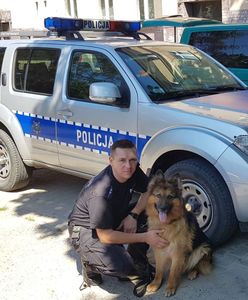 Włamywacz ukrył się w kanapie. Znalazł go policyjny pies