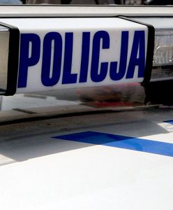 Pięć aut skradzionych z salonu w Sosnowcu. Jest nagroda