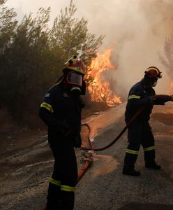 Ekspert o pożarach w Grecji: Są zupełnie inne od tych w Polsce. Nasza wiedza nie ma tam zastosowania